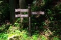【熊野古道の超定番コース】中辺路・滝尻王子から熊野本宮大社の歩き旅＜熊野古道の歩き方 vol.2＞の画像005