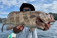 力強い引き味が魅力！  ただいま大流行中の「ハタゲーム」とは？  ハタ類が釣れるポイントやタイミングを紹介！