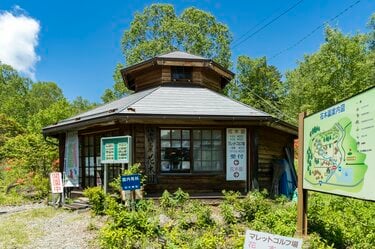 梅雨どきにもオススメ”の THE 信州！ 八千穂高原の「日本一美しい白樺