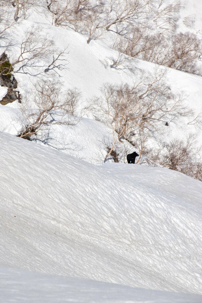 【残雪期登山】林道ゲートが開通したばかりの中房温泉から「北アルプスの女王」燕岳へ登山！ 「今年は雪が溶けるのが早かった！？」 長野県・2022年の画像009