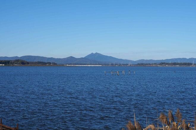 【小さくても深い、タナゴ釣りの世界】「名人のカスタマイズ針」 釣果に驚愕！  アタリ数は同じでも… 差がついた掛かり＆サイズ「市販針と比較」検証レポの画像010