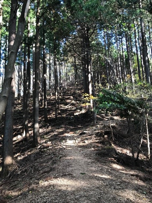 【首都圏近郊】11月は足腰の神様と紅葉が待つ人気日帰り低山「伊豆ヶ岳」への画像004