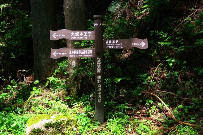 【熊野古道の超定番コース】中辺路・滝尻王子から熊野本宮大社の歩き旅＜熊野古道の歩き方 vol.2＞の画像005