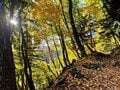 【外国人の私が感動した日本の紅葉】10月中旬以降も間に合う「おすすめ紅葉登山スポット」5選【日本で山登りはじめました vol.10】の画像005
