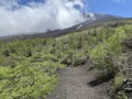 開山前の「富士山」ちょこっとロケハン＆足ならし！  富士スバルライン5合目から「御庭遊歩道と御中道遊歩道」約4㎞・2時間「現地レポ」の画像002