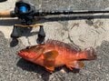 釣り初心者にもすすめたい「魔法の釣り竿」！  パックロッドの「5つの魅力」とは？の画像003