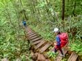 白い妖精・ワタスゲ踊る極上トレイル！「芳ヶ平湿原」を歩く＜群馬県＞の画像005