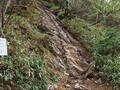 個性あふれる「四国の山」！  日本七霊山「石鎚山」はじめ「愛媛・高知・香川・徳島」4県最高峰からの「絶景」とは？の画像002