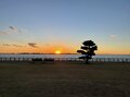 茨城県在住ライターが教える「湖面積国内第2位」茨城県・霞ヶ浦「絶景ドライブスポット」の画像003