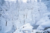 上村愛子と里谷多英の「八甲田山バックカントリースキー」ルポ！  冬のアクティブ旅案内マガジン「Snow trip magazine」のこだわり魅力