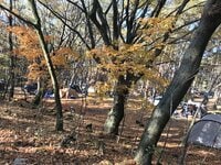 そうとう寒いぞ「秋キャンプ」！  アウトドア  初心者への基本のキ「防寒対策」5つ