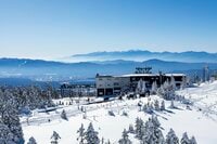 【この秋、絶対！ 八ヶ岳】第10回「冬の坪庭」 いつもとは違う北八ヶ岳を歩く