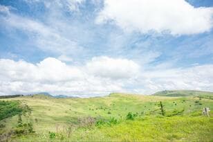 「穴場ルート」で楽しむ長野県「霧ヶ峰散策」！「ゼブラ山〜北の耳〜南の耳〜蝶々深山」を巡る草原歩きレポート