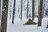 ＜だからやめられない！＞「真っ白な湖畔の雪中キャンプ」でしか見られない「息を呑むような景色」に会いに行こう【絶景キャンプ場ガイド-言葉を失うほどの風景に会いに行こう- vol.18】の画像005