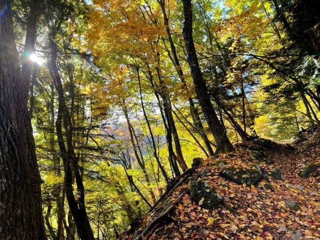 【外国人の私が感動した日本の紅葉】10月中旬以降も間に合う「おすすめ紅葉登山スポット」5選【日本で山登りはじめました vol.10】の画像005