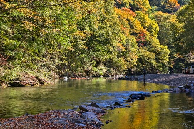 そろそろ紅葉も見頃に！「手強いけれど、強烈なファイトに大興奮」 神流川“冬季ハコスチ釣り場”【群馬県上野村】 2025年の画像006