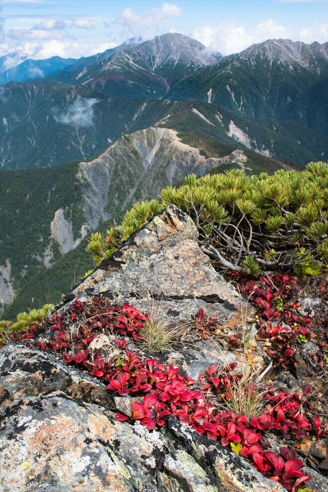【秋晴れの登山日和】「南アルプスの中心で富士山に出会う！ 日本百名山・塩見岳」長野県・静岡県  2022年の画像003