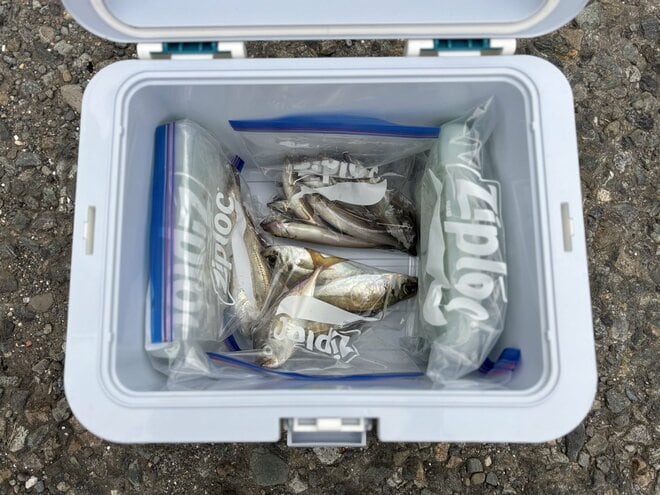 アウトドア系インフルエンサー実践「ジップロック活用術」を大公開！  キャンプ、登山に釣りもコレで楽々パッキングの画像037