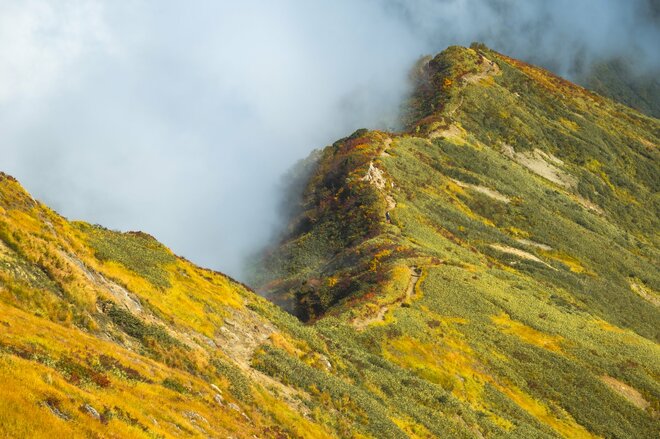 【登山】“滝雲”の名所、枝折峠！  遥かなる稜線を辿る紅葉の百名山「越後駒ヶ岳」へ   新潟県 2026年の画像007