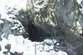 警報級の大雪で「人気の低山ルート」はどうなった！？  2024年2月初旬「御岳山」武蔵御嶽神社・天狗岩・ロックガーデン【現地レポ】の画像007