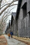 この体験は “一生モノ”！  一度は訪れたい「夜景の美しいキャンプ場」3選【絶景キャンプ場ガイド-言葉を失うほどの風景に会いに行こう- vol.2】の画像008