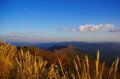 【まだ間に合う！晩秋の山歩き】紅葉終盤は落ち葉歩きで決まり「 駐車場から1時間以内の絶景」晩秋ハイク・東西2選【今日も山旅気分 vol.26】の画像004