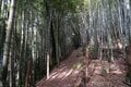 秋の京都は観光だけではもったいない！　紅葉と寺社と山をまるっと楽しむ！【2021年・秋】の画像007