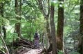 【首都圏近郊ハイキング】5月でもまだ花見ができる山「西丹沢・檜洞丸」への画像015