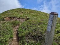 【6月から見ごろ】東北「花の絶景」名山5座！ ハクサンイチゲの花畑、チングルマ群生に固有種「ミチノクコザクラ」も！