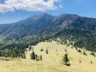 夏空の絶景が広がる稜線歩き「日本百名山・四阿山」＆「花の百名山・根子岳」 北アルプスや浅間山の眺望も素晴らしい「登山レポ」