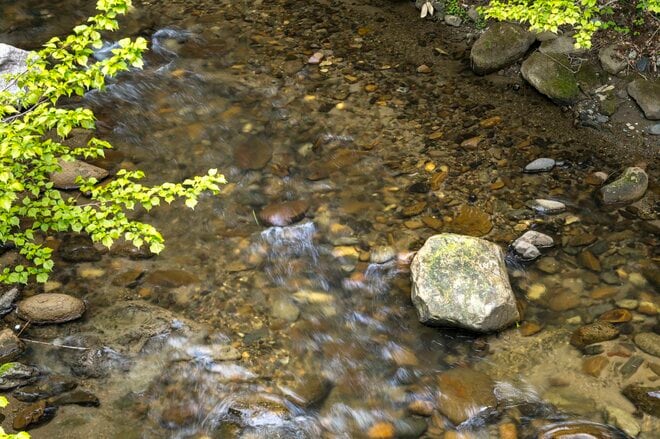 【渓流釣り】「さっきまでいたのに、どこへ行ったの？」 近所の小渓、妄想をかき立てられるフライフィッシング  長野県｜2026年の画像001