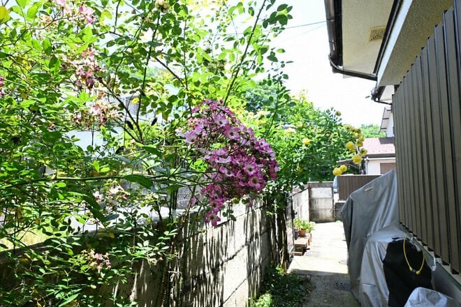 アシナガバチが自宅に巣を作った！「さぁ大変、あなたならどうする？」 ハチとの共生を目指して “引っ越し作戦 ”を決行した　東京都｜2026年の画像002