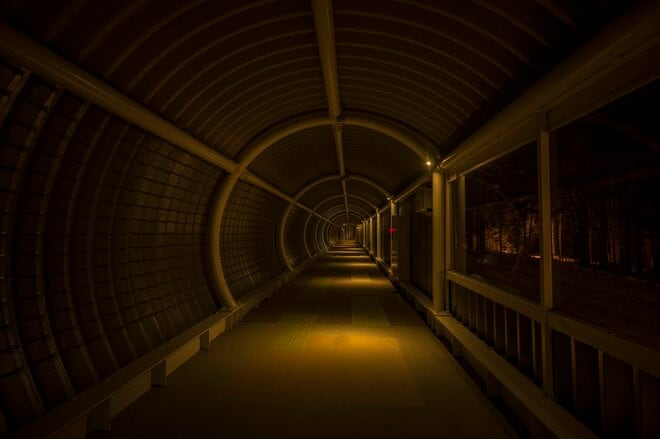 【絶景オンパレード！ 有名リゾートの隠れたスポット】厳しい寒さが作り出すアート！「窓霜の世界」 星野リゾート トマム  北海道｜2026年の画像003