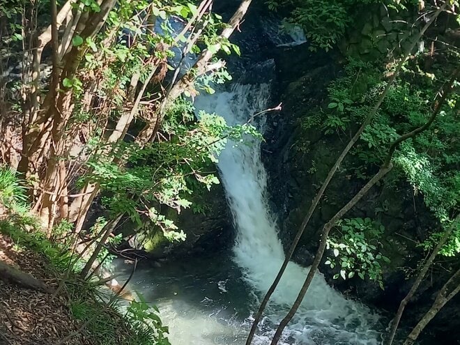 秋こそロングコースのチャレンジ登山！  山梨百名山「滝子山」 山頂からは「富士山」の絶景・「駅スタート＆ゴール」OKの抜群アクセス！の画像004