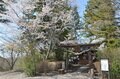 【春の信州でお花見散策】朱塗りの柱が目を引く空中楼閣！  圧巻の懸崖造り 難読「鼻顔稲荷神社」は桜の名所！  長野県佐久市・2024年の画像008