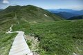 【夏山登山】花の百名山の楽しい季節到来！  高山植物が咲き乱れるお花畑ハイク  2024年の画像007
