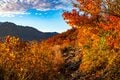 【日本百名山】「この時期だけの絶景！」雪化粧した“越後駒ヶ岳”と素晴らしい紅葉のコントラスト＆圧巻の“枝折峠”の滝雲《新潟県》2023年の画像005