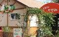 「高知はカツオ」だけじゃない！  高知在住ライターが教える「売切れ必至の卵焼き」「旬のフルーツを使ったジェラート」極上のローカルグルメ巡りの画像001
