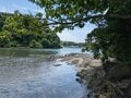 関東に残された唯一の奇跡の森！  三浦半島にある「小網代の森」って、どんなところ？  海まで続く約1.3km 散策レポートの画像002