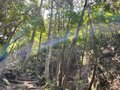 ＜残暑にオススメな“低山の早朝ハイキング”コースPart2＞“涼めるポイント”も豊富な「サクっとモーニングトレイル」私市（きさいち）編【里山アドベンチャー！ソトアソ日和 vol.6】の画像002