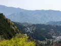 『ゆるキャン△』のメンバーも訪れた「身延山」！ 圧巻の「千本杉」参拝ハイキング＆山頂では名物団子に舌鼓！ パワースポット日帰り登山レポの画像006