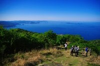 【5月は神の島へ！】リアスの海岸線を引き立てる青い海「絶景とご利益の島」 宮城県の金華山【月めくりの低山カレンダー #05】