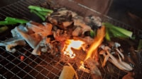 福井県民がバーベキューで焼く「他県では考えられないまさかの食材」と日本海を見下ろす「焚火台常設・薪使い放題」キャンプ場