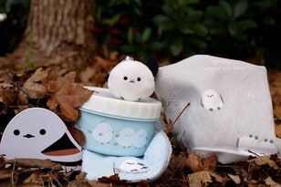 【バードウォッチング】支持率爆上がりの野鳥界アイドル「シマエナガ」にちょっと待ったぁ！  千葉のそっくりさんこそ、かわいらしさナンバーワン！？  2026年