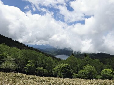 img_db87ff1150dc80b74593a9f2cd
