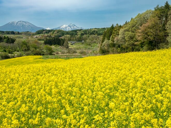 【ゴールデンウィーク・お花見】まさに桃源郷！ ピンクに染まる桃畑と北信五岳の絶景が広がる「丹霞郷」が見頃  2022年の画像005