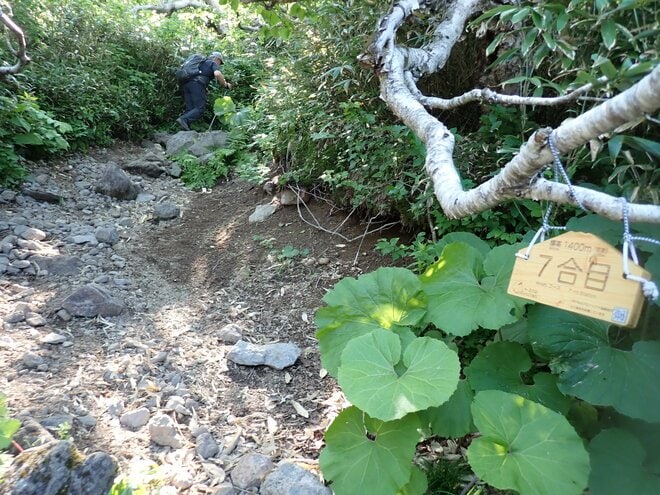 【北海道の山】ニセコの百名山、別名 “蝦夷富士”「羊蹄山」へ登ってみよう！  2025年の画像004