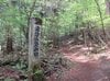 長野県『信州の里山・総選挙！冬山編』第1位！「霧訪山」は春から初夏にはカタクリやニリンソウの群生 “お花畑トレッキング” がおすすめ【塩尻市・辰野町】