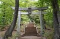 ココでしか見られない花がある「ムサシノキスゲ」唯一の自生地「浅間山公園」新緑の中で可憐に咲きほこる【東京都・府中市】の画像003