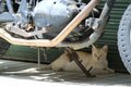 「ミャークヌカギマユ（宮古の美しい猫）」穏やかな子育ての風景に心が和む【琉球島猫百景 vol.08　宮古島〈1〉】の画像002